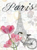 All Things Paris 2 Poster Print by Sheldon Lewis - Item # VARPDXSLBRC369B