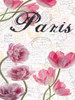 All Things Paris 5 Poster Print by Sheldon Lewis - Item # VARPDXSLBRC369G
