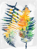 Tropical 1 Poster Print by Sheldon Lewis - Item # VARPDXSLBRC371A