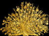 Golden Peacock 4 Poster Print by Sheldon Lewis - Item # VARPDXSLBRC398B2