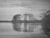 Out Doors BW Poster Print by Sheldon Lewis - Item # VARPDXSLBRC512B