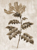 Earth Balance 9 Poster Print by Sheldon Lewis - Item # VARPDXSLBRC640G