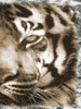 Tiger Claw 2 Poster Print by Sheldon Lewis - Item # VARPDXSLBRC646B