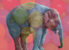 Playpen Elephant Poster Print by Sheldon Lewis - Item # VARPDXSLBRC882A