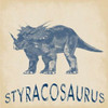 Styracosaurus Dino Poster Print by Sheldon Lewis - Item # VARPDXSLBSQ164A1