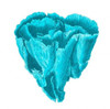 Blue Coral 6 Poster Print by Sheldon Lewis - Item # VARPDXSLBSQ260F