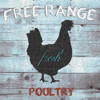 Free Range Poultry Poster Print by Sheldon Lewis - Item # VARPDXSLBSQ262A