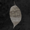Leaf By The Spirit 2 Poster Print by Sheldon Lewis - Item # VARPDXSLBSQ333B