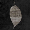 Leaf By The Spirit 2 Poster Print by Sheldon Lewis - Item # VARPDXSLBSQ333B
