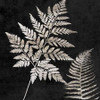 Leaf In The Moment 2 Poster Print by Sheldon Lewis - Item # VARPDXSLBSQ333D