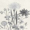 Terrarium Flower Poster Print by Sheldon Lewis - Item # VARPDXSLBSQ335A