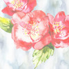 A Floral Tale 2 Poster Print by Sheldon Lewis - Item # VARPDXSLBSQ396B