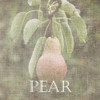 Pear Poster Print by Sheldon Lewis - Item # VARPDXSLBSQ532C