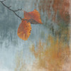 Pure Leaf 2 Poster Print by Sheldon Lewis - Item # VARPDXSLBSQ540B