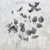 Grey Earth Balance 8 Poster Print by Sheldon Lewis - Item # VARPDXSLBSQ557F