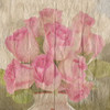 Vintage Roses Poster Print by Sheldon Lewis - Item # VARPDXSLBSQ624A