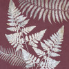 Fern Time 2 Poster Print by Sheldon Lewis - Item # VARPDXSLBSQ654B