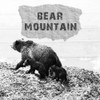 Bear Mountain Poster Print by Sheldon Lewis - Item # VARPDXSLBSQ681A