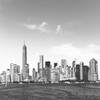Fly NY Poster Print by Sheldon Lewis - Item # VARPDXSLBSQ698A