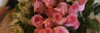 Pink Roses Poster Print by Sarah Butcher - Item # VARPDXSRPL001A