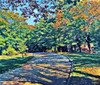 Shady View Poster Print by Sarah Butcher - Item # VARPDXSRRC008B