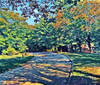 Shady View Poster Print by Sarah Butcher - Item # VARPDXSRRC008B