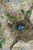 The Nest Poster Print by Sarah Butcher - Item # VARPDXSRRC041A