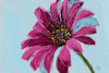 Daisy Crazy Poster Print by Sarah Butcher - Item # VARPDXSRRC051A