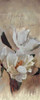 Magnolia Poster Print by Sarah Butcher - Item # VARPDXSRRN003A