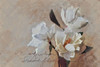 Suddenly Magnolia 2 Poster Print by Sarah Butcher - Item # VARPDXSRRN012B