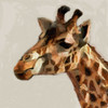 Giraffe Portrait Poster Print by Sarah Butcher - Item # VARPDXSRSQ011