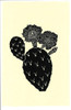 Cactus 2BW Poster Print by Tina Carlson - Item # VARPDXTCRC195B