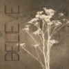 Believe Silhouette Poster Print by Taylor Greene - Item # VARPDXTG5SQ001A1