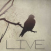 Live Silhouette Poster Print by Taylor Greene - Item # VARPDXTG5SQ001A7