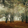 Cinnamon Forest 1 Poster Print by Taylor Greene - Item # VARPDXTG5SQ072A