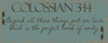 Colossians 3-14 Poster Print by Taylor Greene - Item # VARPDXTGPL124B