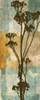 BOTANICAL BEAUTY I Poster Print by Taylor Greene