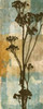 BOTANICAL BEAUTY I Poster Print by Taylor Greene