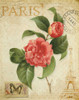 VINTAGE PARIS ROSE Poster Print by Taylor Greene - Item # VARPDXTGRC021B1