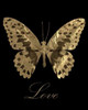 Love Gold Butterfly Poster Print by Taylor Greene - Item # VARPDXTGRC052A