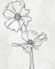 FLOWER 1 Poster Print by Taylor Greene - Item # VARPDXTGRC075A
