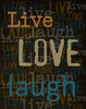 Live Love Laugh Poster Print by Taylor Greene - Item # VARPDXTGRC142B
