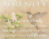 SERENITY HUMMINGBIRD Poster Print by Taylor Greene - Item # VARPDXTGRC161A