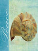 PEACE SHELL Poster Print by Taylor Greene