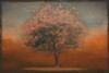 INDIAN SUMMER SILHOUETTE Poster Print by Taylor Greene