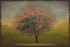 INDIAN SUMMER SILHOUETTE II Poster Print by Taylor Greene