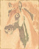 Horse 1 Poster Print by Taylor Greene - Item # VARPDXTGRC241A