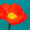 Poppies On Blue1 Poster Print by Taylor Greene - Item # VARPDXTGSQ024A