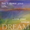 DREAM Poster Print by Taylor Greene