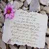 Rocks 2 Poster Print by Taylor Greene - Item # VARPDXTGSQ029B